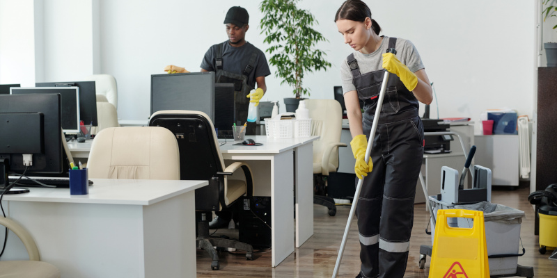 Do You Need Professional Cleaning Help?